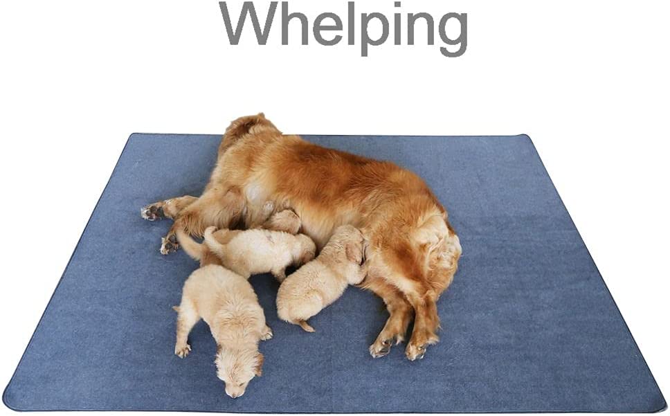 Exponential Pet Supplies - Non-Slip Dog Poop Training Pads Extra Large 72" x 72", Washable Puppy Pads with Fast Absorbent, Reusable