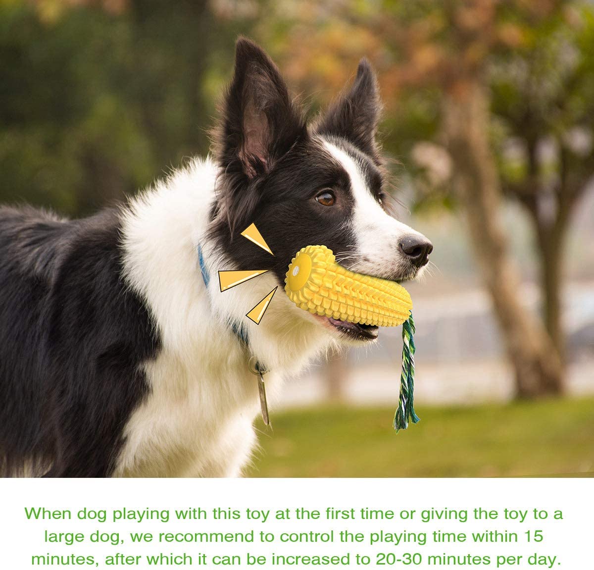 Exponential Pet Supplies - Teeth Interactive Corn Puppy Toothbrush Clean Toys, Dog Toys Aggressive Chewers For All Breed