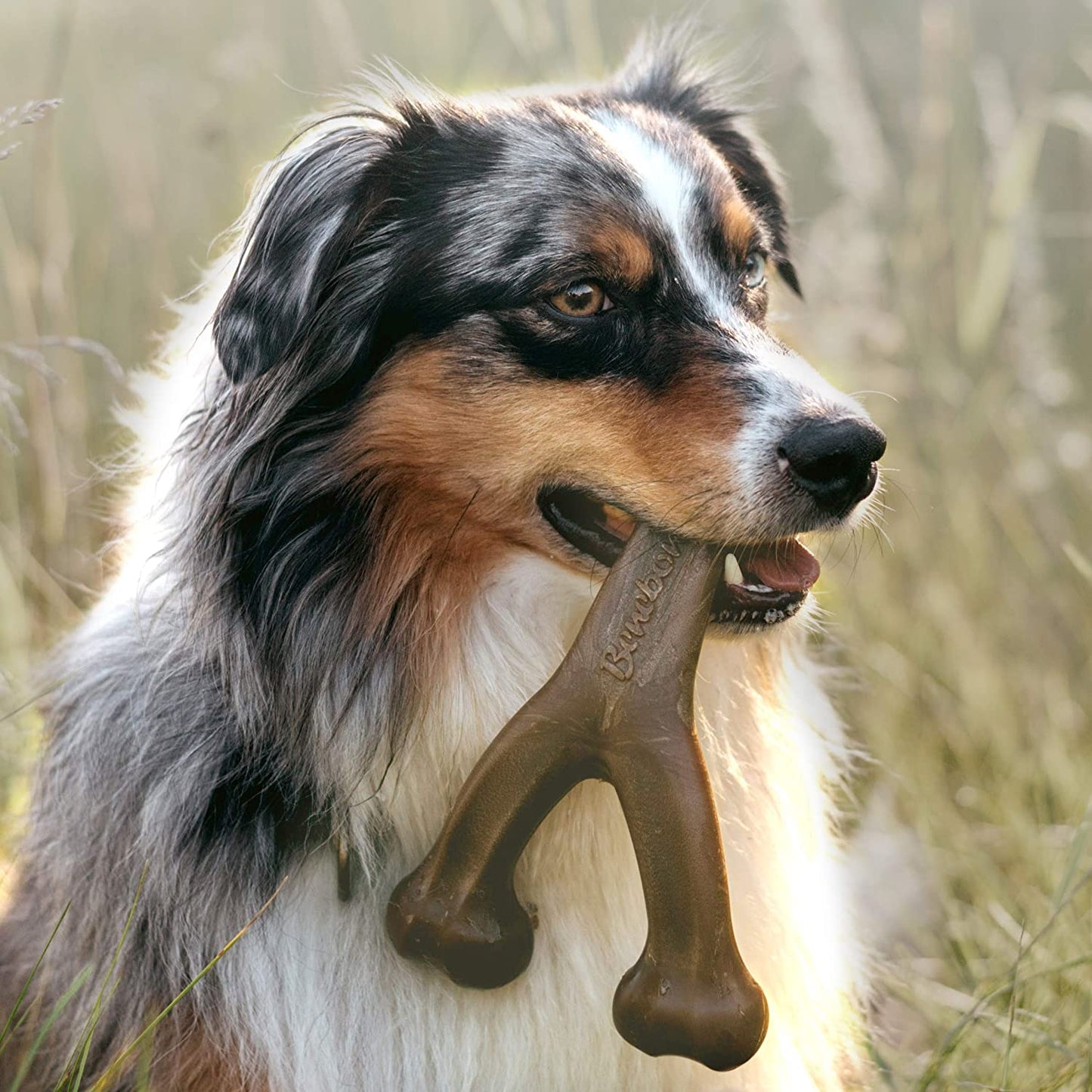 Exponential Pet Supplies - Dog Teether Wishbone Durable Dog Chew Toy for Aggressive Chewers