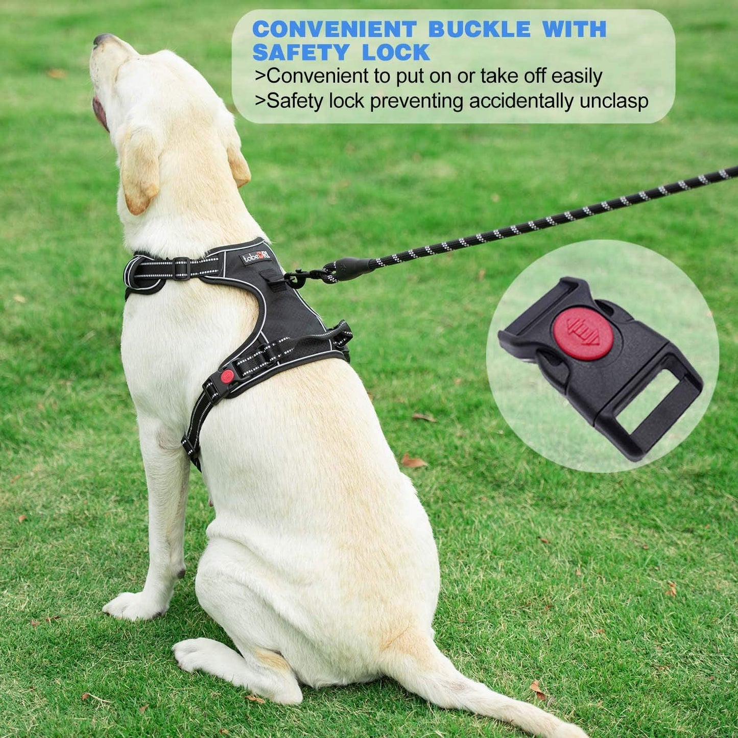 Exponential Pet Supplies - Free Heavy Duty 5ft Dog Leash No Pull Dog Harness Adjustable Reflective Oxford Easy Control Medium Large Dog Harness with A