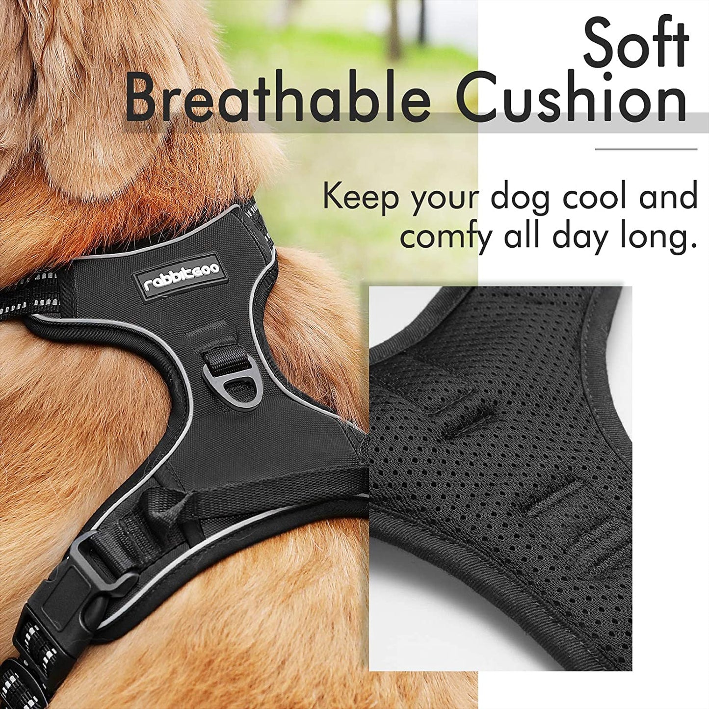 Exponential Pet Supplies - No-Pull Pet Harness with 2 Leash Clips, Adjustable Soft Padded Dog Vest, Reflective Outdoor