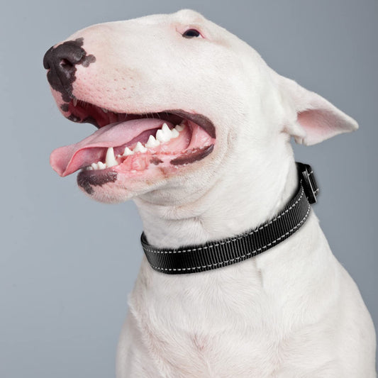 Exponential Pet Supplies - Soft Neoprene Padded Breathable Nylon Pet Collar Adjustable