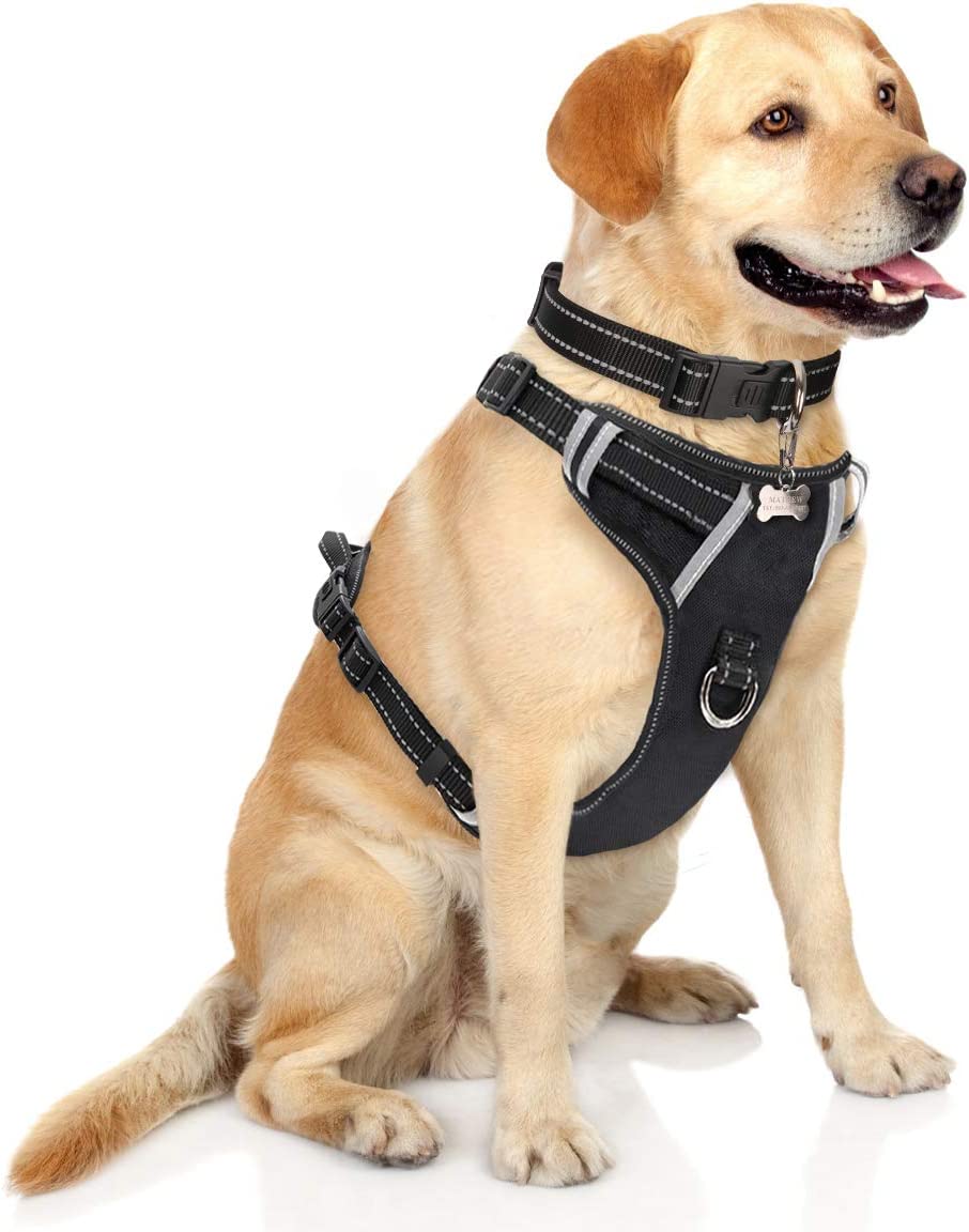 Exponential Pet Supplies - No Pull, Pet Harnesses with Dog Collar, Adjustable Reflective Oxford Outdoor Vest, Front/Back Leash Clips