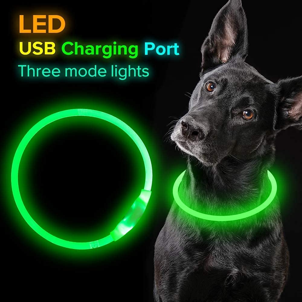 Exponential Pet Supplies - USB Rechargeable, Glowing Pet Dog Collar for Night Safety