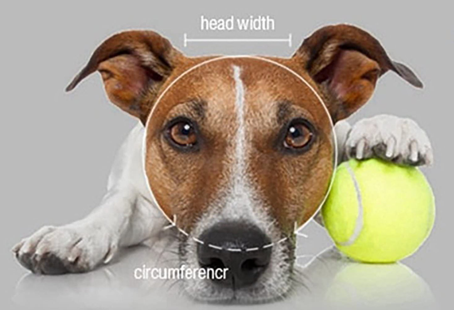 Exponential Pet Supplies - Round Brim Princess Cap Visor Hat Pet Dog Mesh Porous Sun Cap with Ear Holes