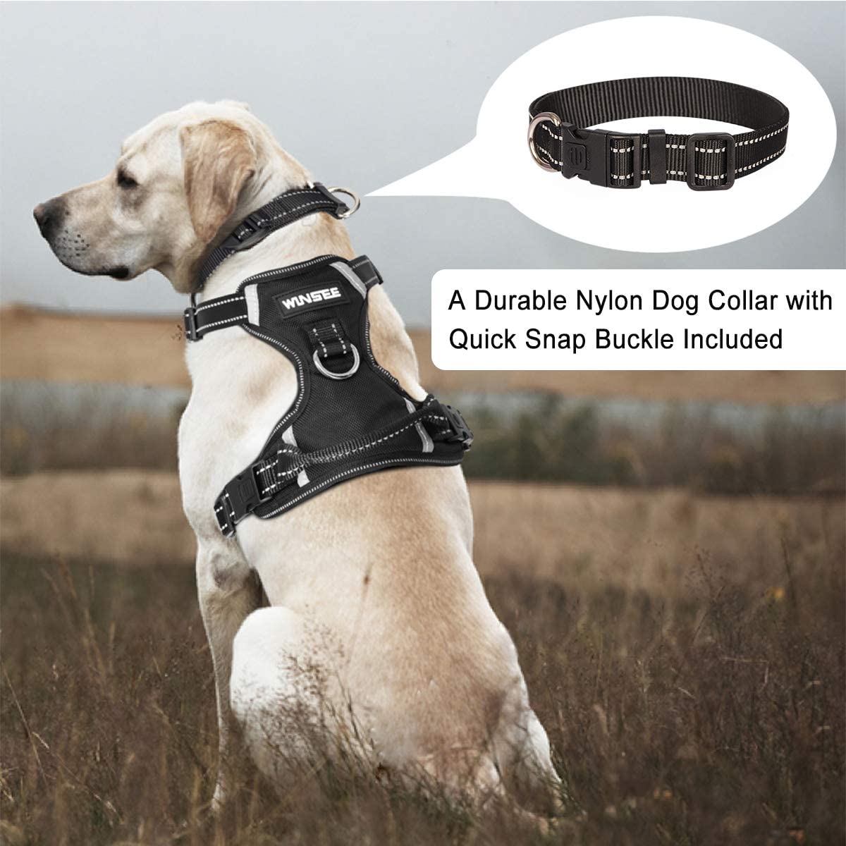 Exponential Pet Supplies - No Pull, Pet Harnesses with Dog Collar, Adjustable Reflective Oxford Outdoor Vest, Front/Back Leash Clips
