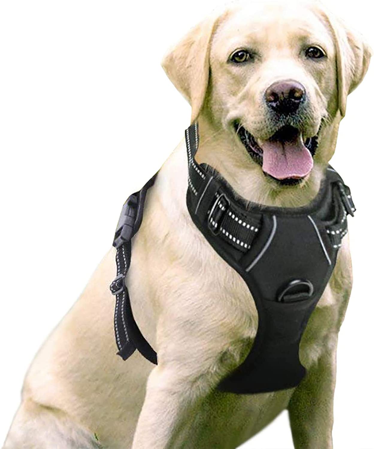Exponential Pet Supplies - No-Pull Pet Harness with 2 Leash Clips, Adjustable Soft Padded Dog Vest, Reflective Outdoor