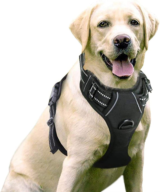 Exponential Pet Supplies - No-Pull Pet Harness with 2 Leash Clips, Adjustable Soft Padded Dog Vest, Reflective Outdoor