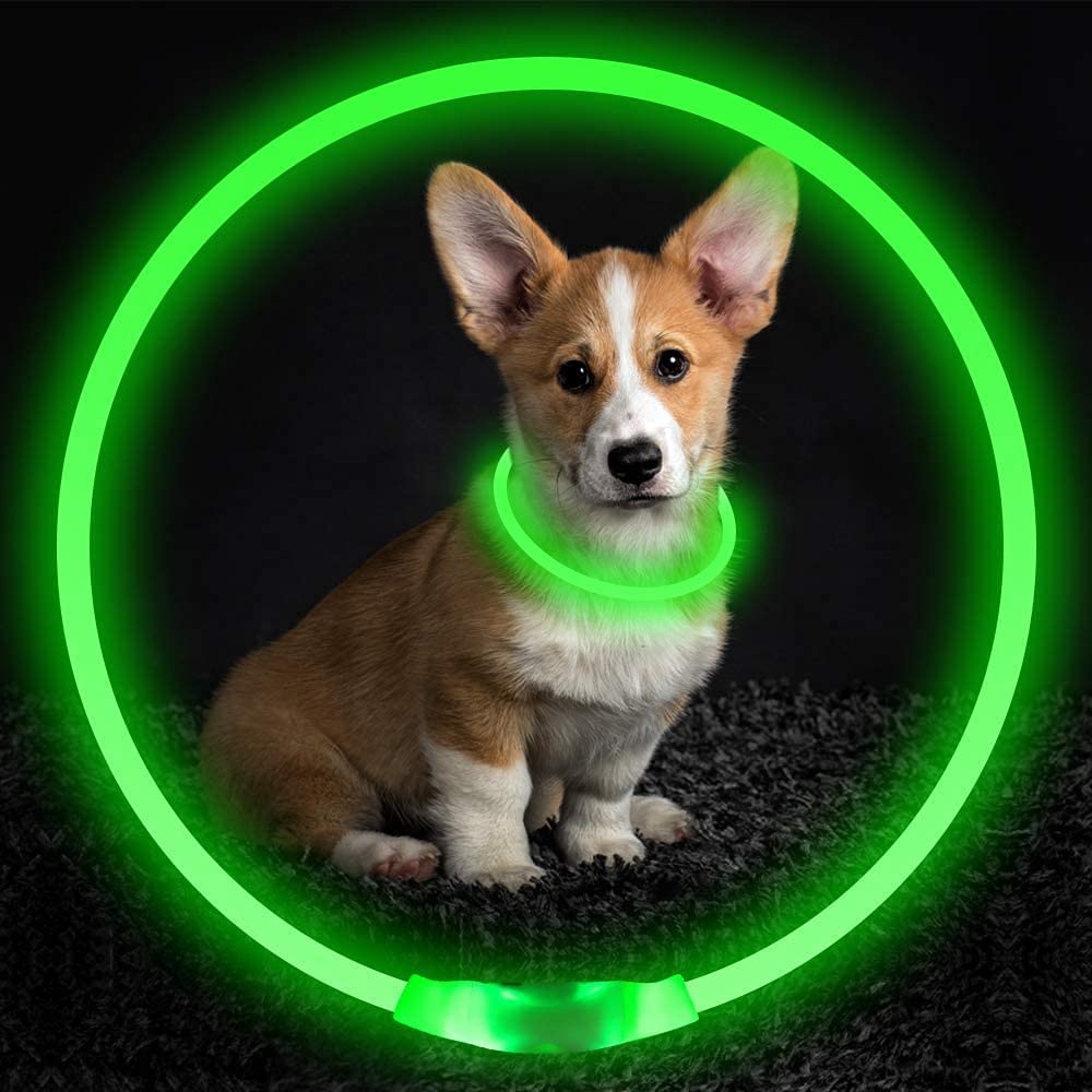 Exponential Pet Supplies - USB Rechargeable, Glowing Pet Dog Collar for Night Safety