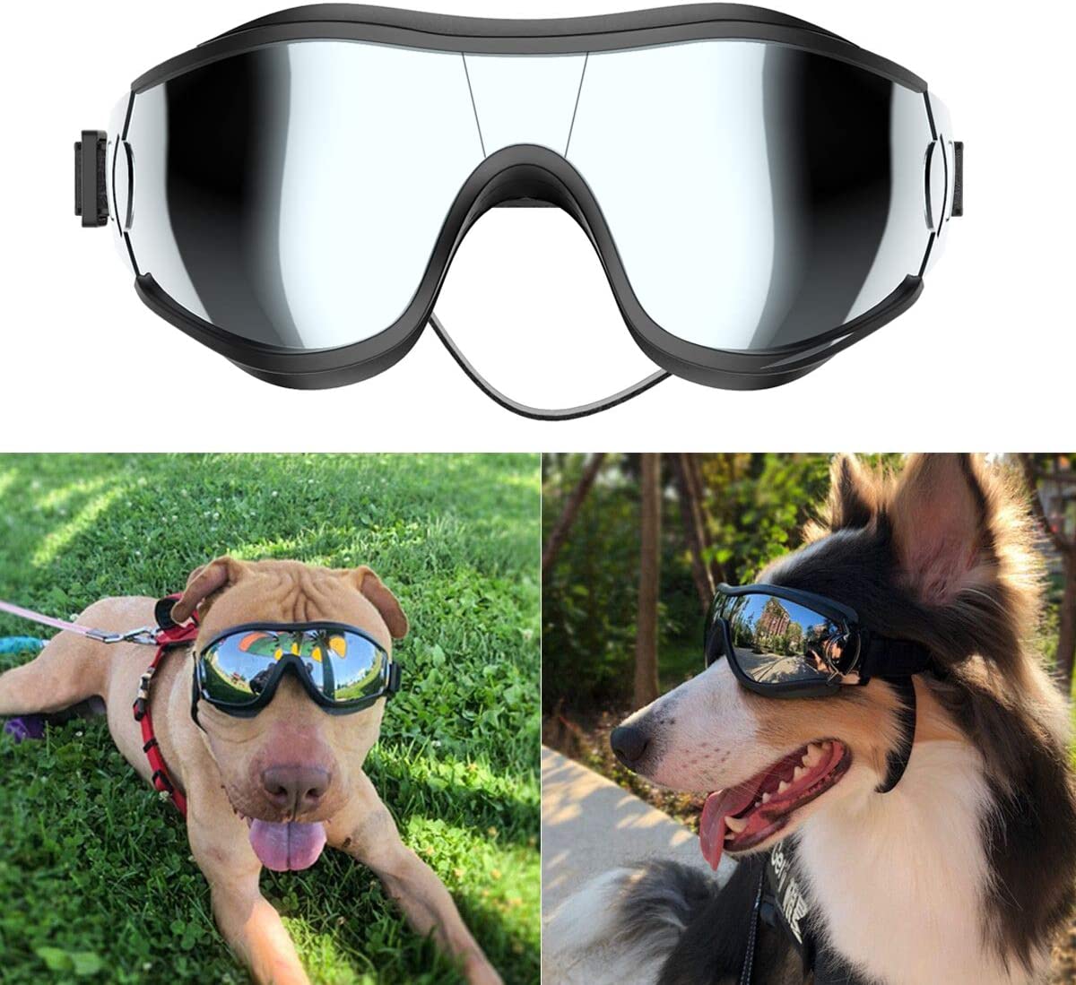 Exponential Pet Supplies - UV Protection Wind Protection Dust Protection Fog Protection Pet Glasses Eye Wear Protection with Adjustable Strap