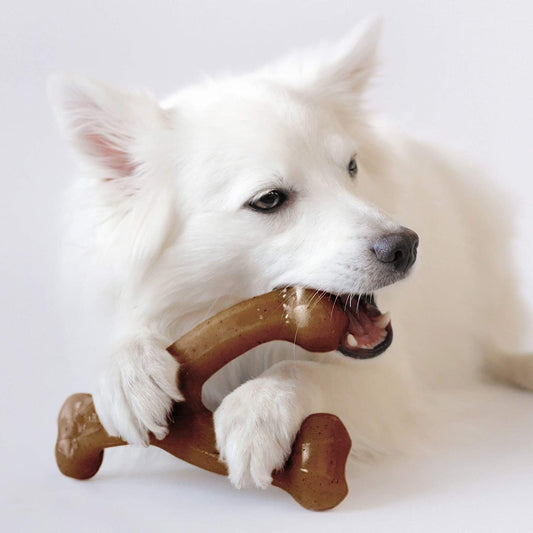 Exponential Pet Supplies - Dog Teether Wishbone Durable Dog Chew Toy for Aggressive Chewers