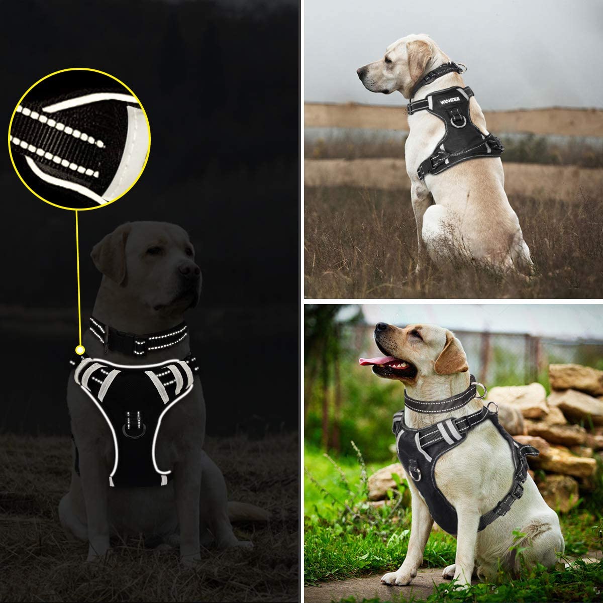 Exponential Pet Supplies - No Pull, Pet Harnesses with Dog Collar, Adjustable Reflective Oxford Outdoor Vest, Front/Back Leash Clips