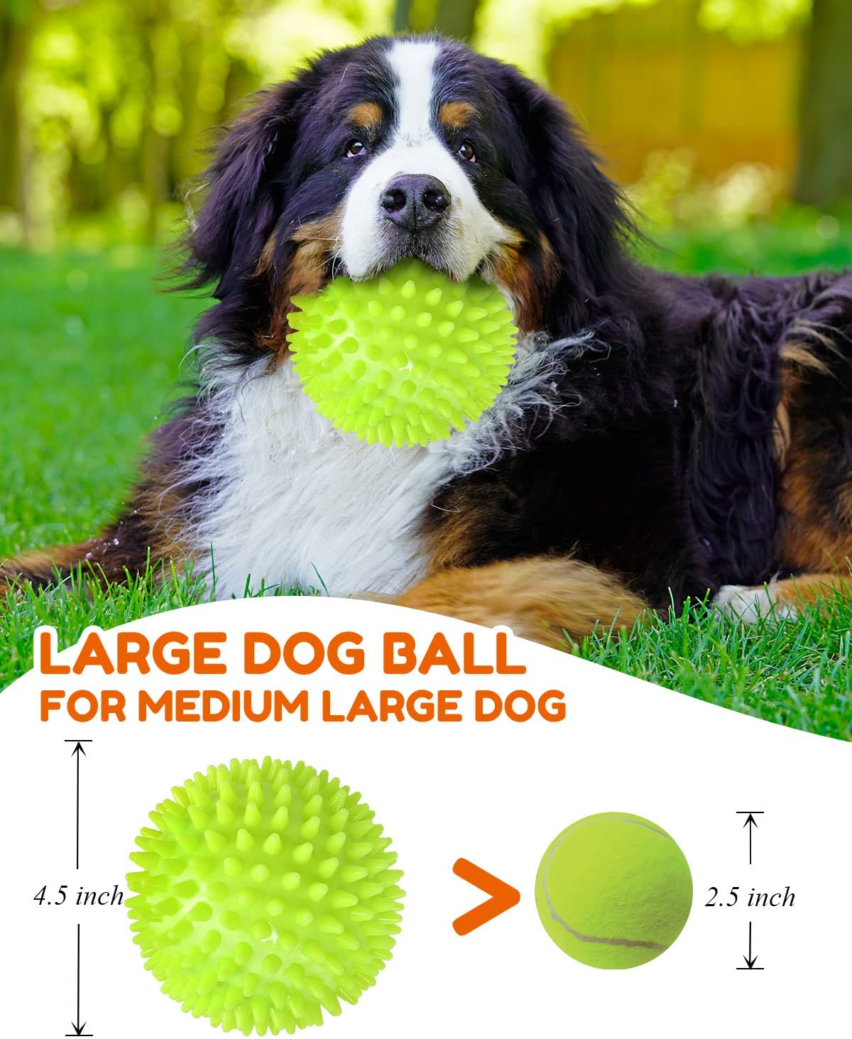 Exponential Pet Supplies - 4.5” Heavy Duty Squeaky Dog Balls for Aggressive Chewers Dog
