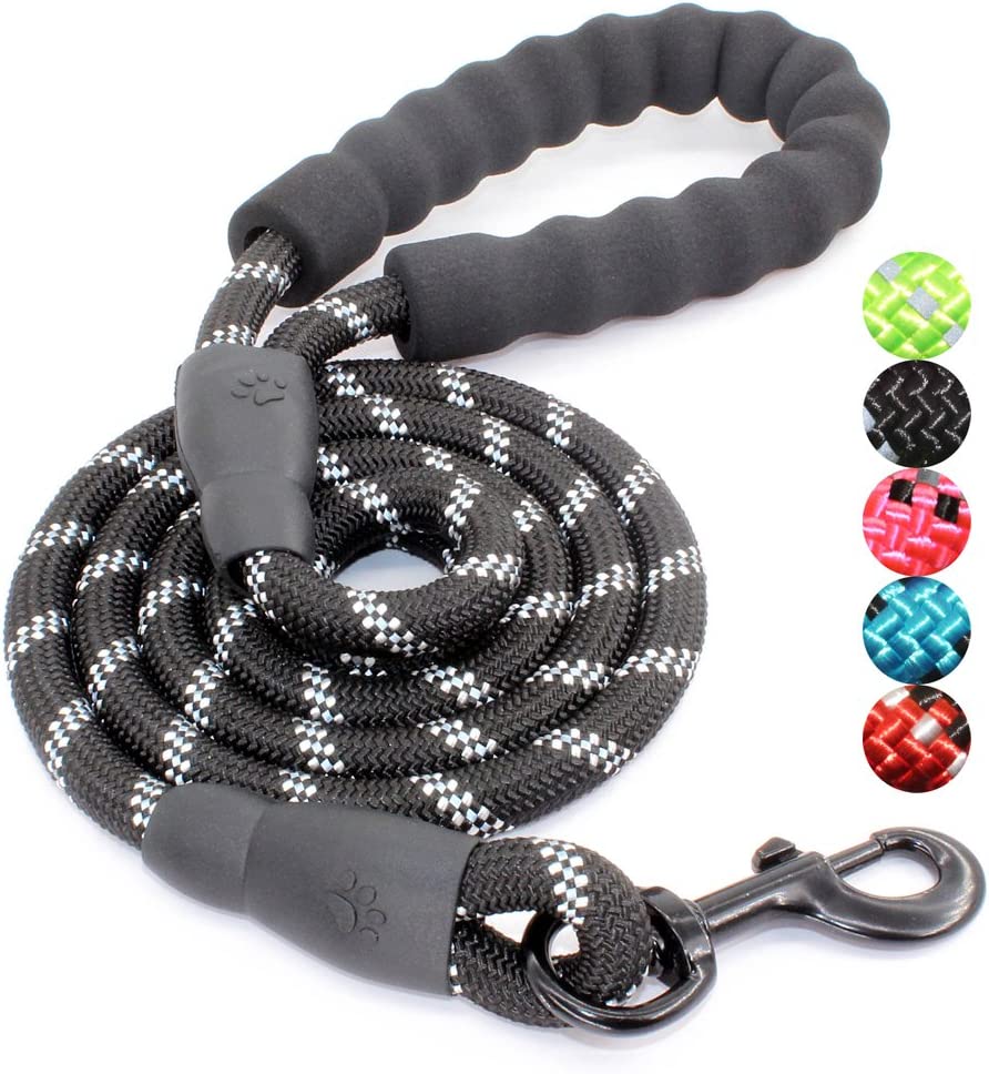 Exponential Pet Supplies - High Quality Dog Leash with Comfortable Padded Handle and Highly Reflective Threads