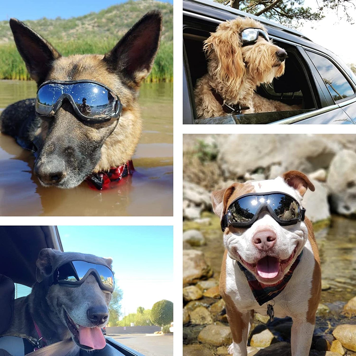 Exponential Pet Supplies - Dog Goggles Adjustable Strap for Travel Skiing and Anti-Fog