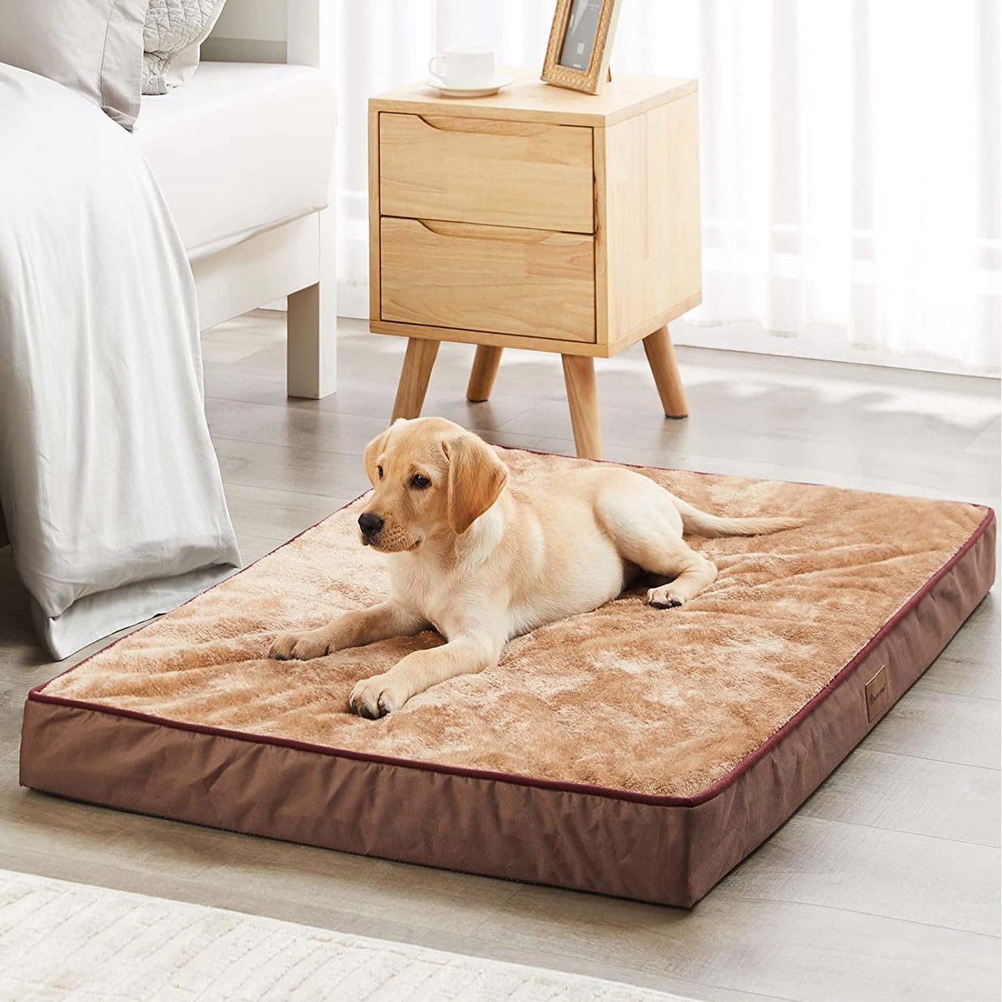 Exponential Pet Supplies - Egg Crate Foam Large Dog Mattress ,Orthopedic Dog Bed with Removable Washable and Wear Resistant Cover