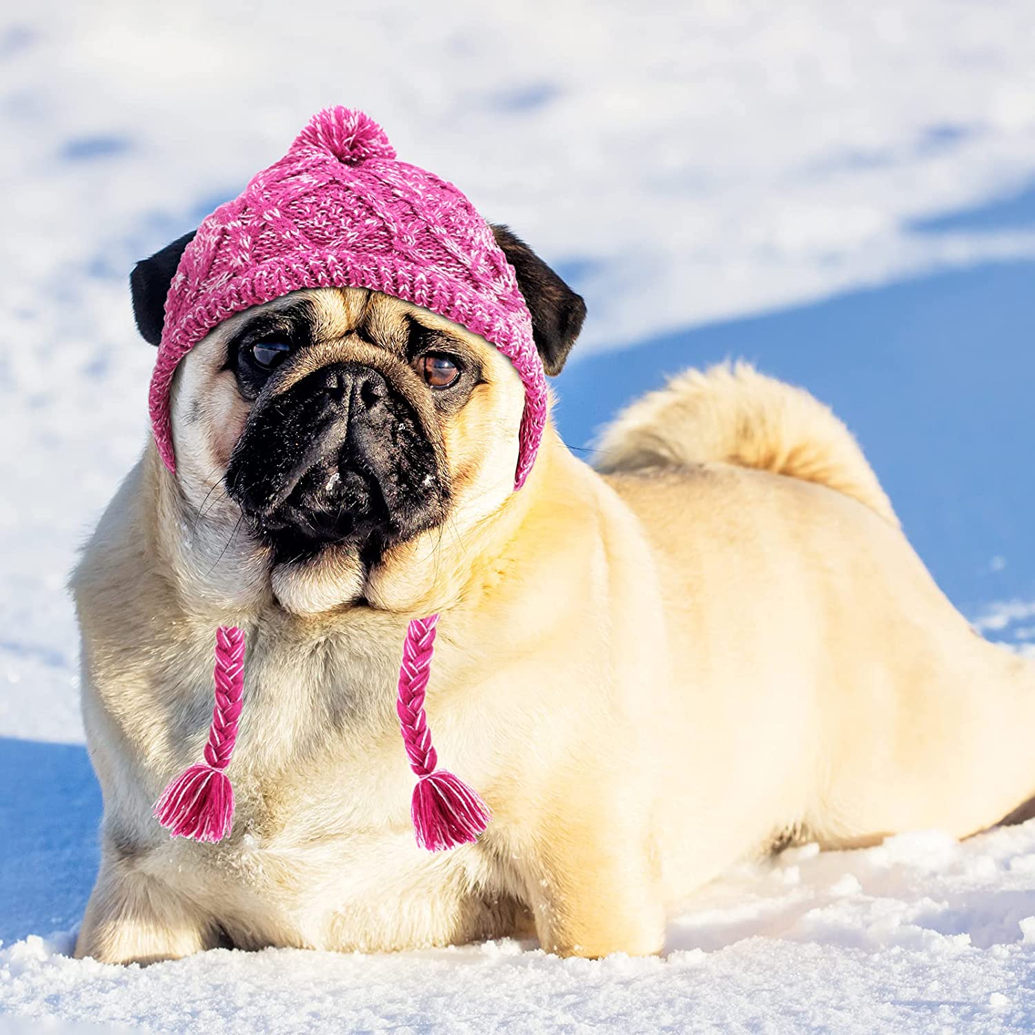 Exponential Pet Supplies - 2 Pieces Warm Pom Hat Party Knit Dog Beanie Puppy Dog Cap with Ear Holes Pet Knitted Snood Headwear for Christmas