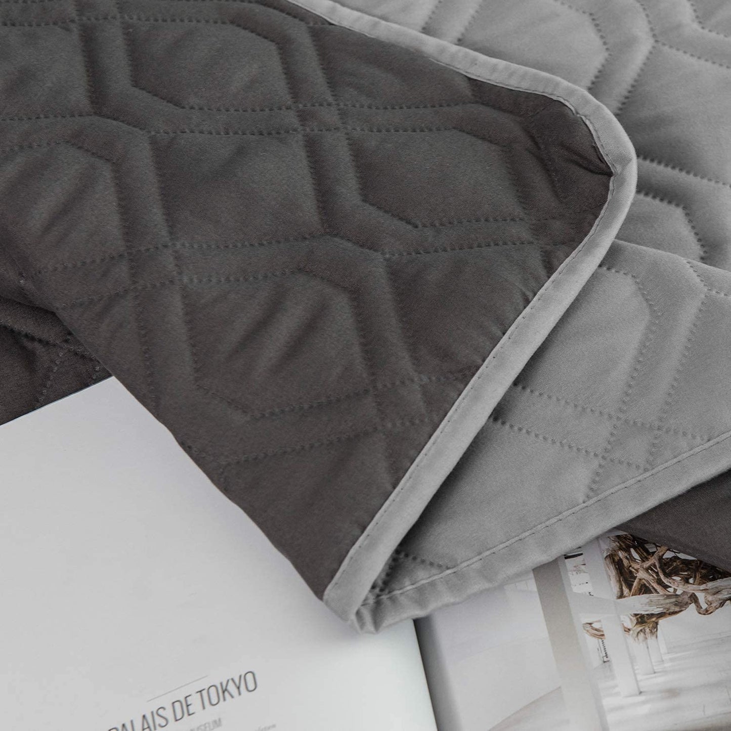 Exponential Pet Supplies - Waterproof Dog Bed Cover, Blanket for Furniture Bed Couch Sofa Reversible