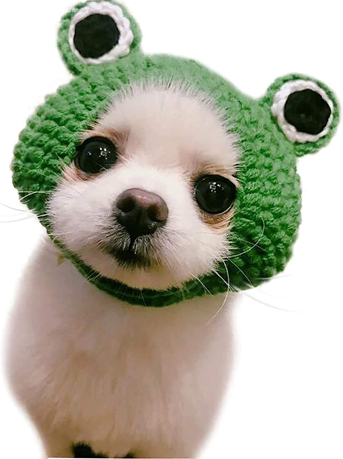 Exponential Pet Supplies - Handmade Knitted Woolen Yarn Frog Cap for Dog Puppy