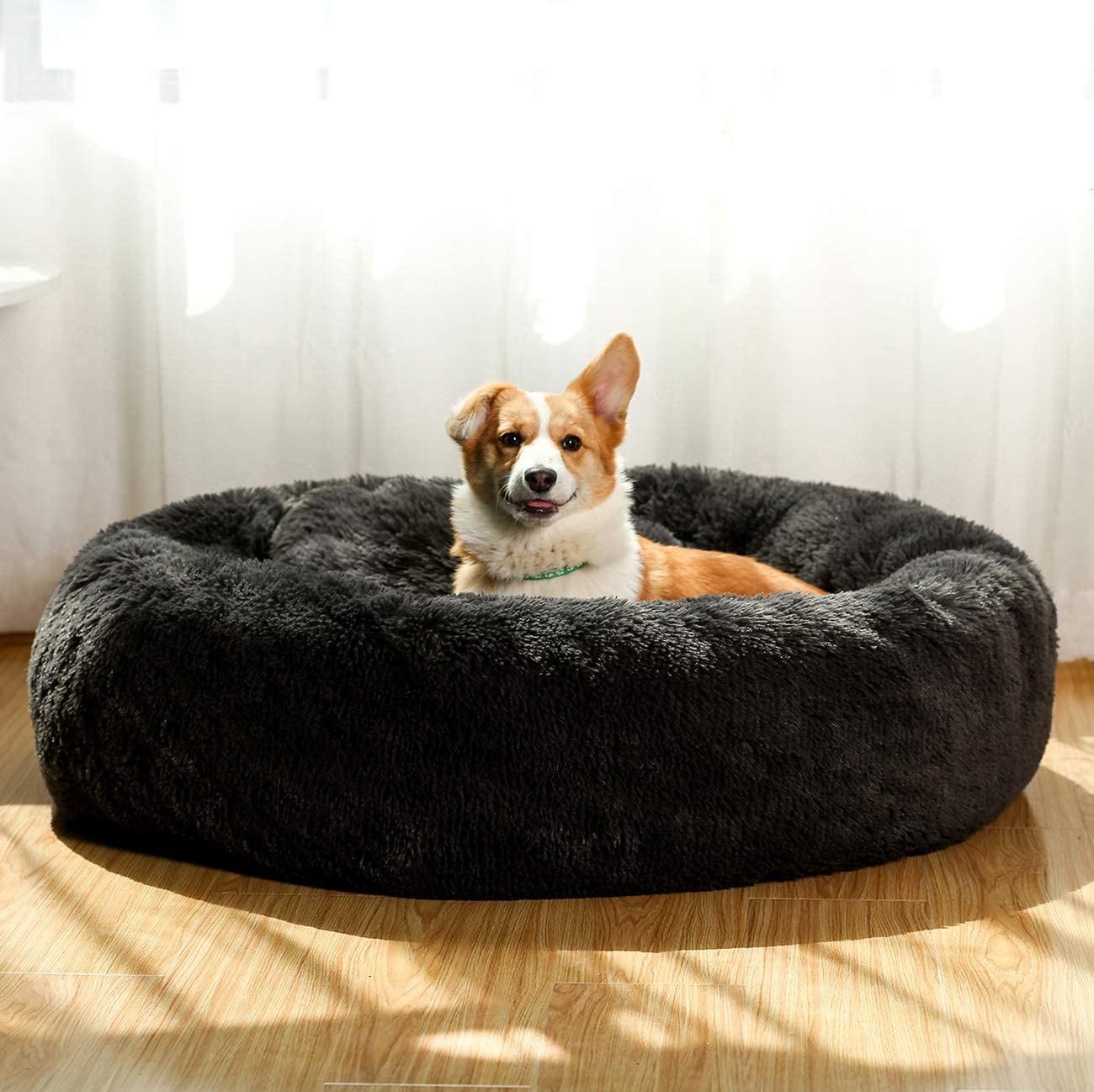 Exponential Pet Supplies - Comfortable Dog Bed for Medium Dogs with Removable Cushion