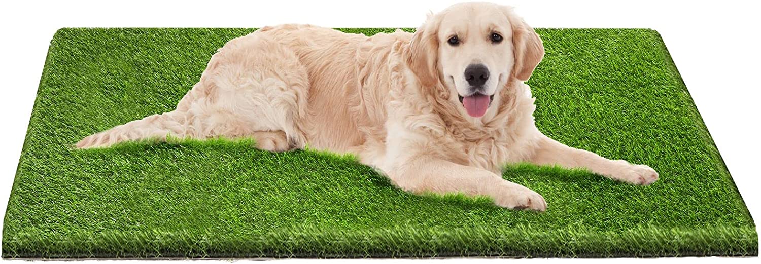 Exponential Pet Supplies - Dog Pee Pads, Professional Dog Poop Training Rug, Large Dog Grass Mat with Drainage Holes, Pet Turf Indoor Outdoor Flooring Fake Grass Doormat