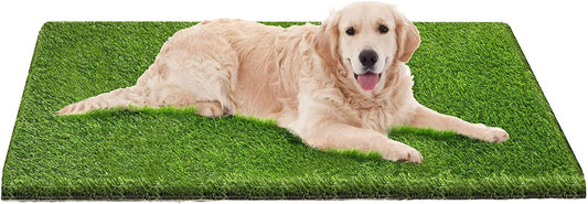 Exponential Pet Supplies - Dog Pee Pads, Professional Dog Poop Training Rug, Large Dog Grass Mat with Drainage Holes, Pet Turf Indoor Outdoor Flooring Fake Grass Doormat