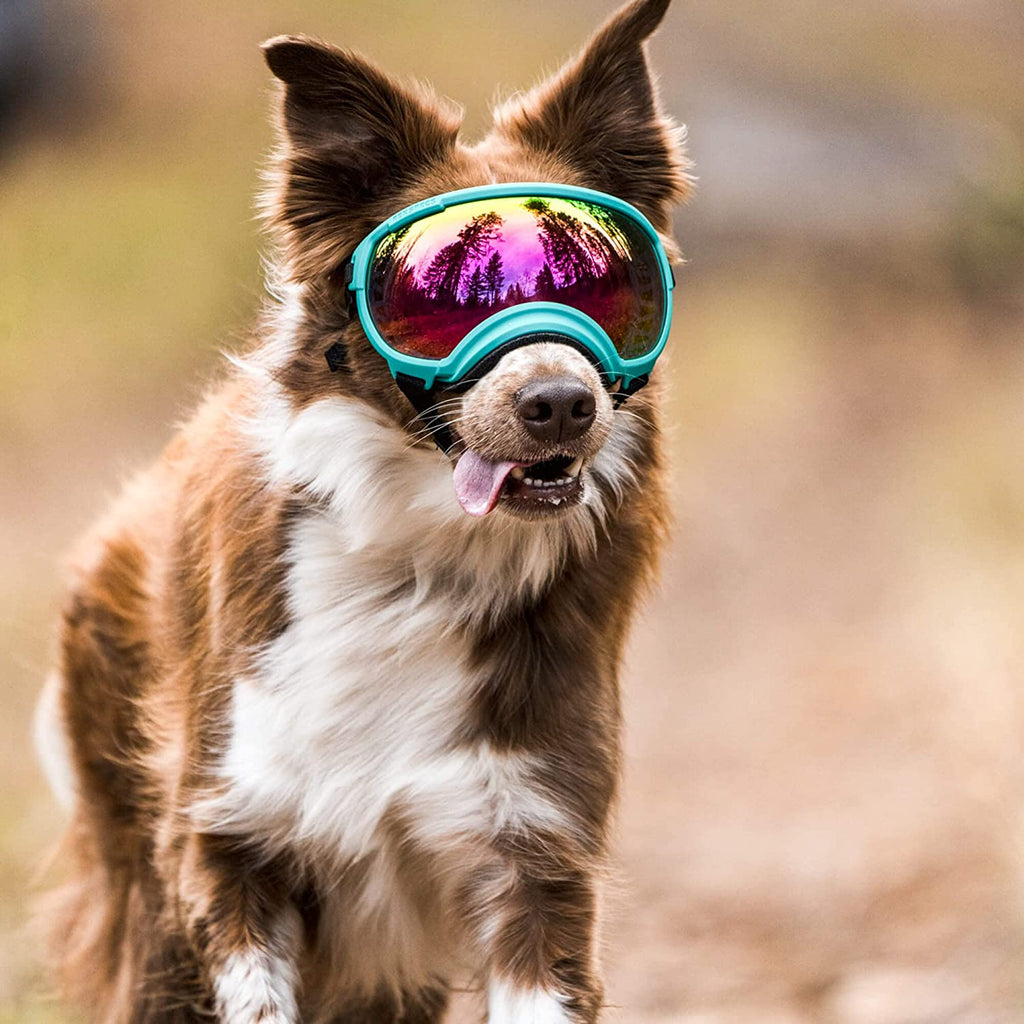 Exponential Pet Supplies - Breathable Dog Goggles