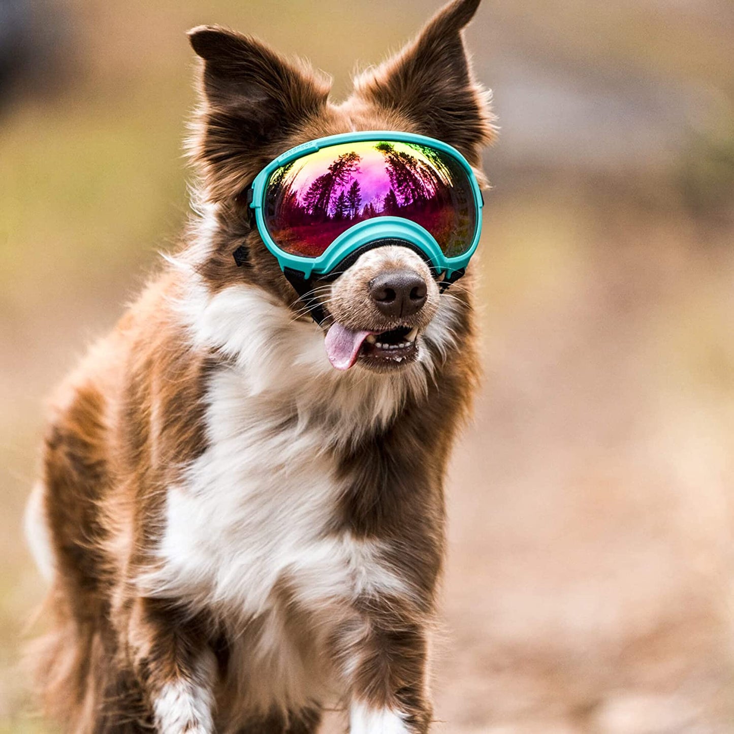 Exponential Pet Supplies - Breathable Dog Goggles