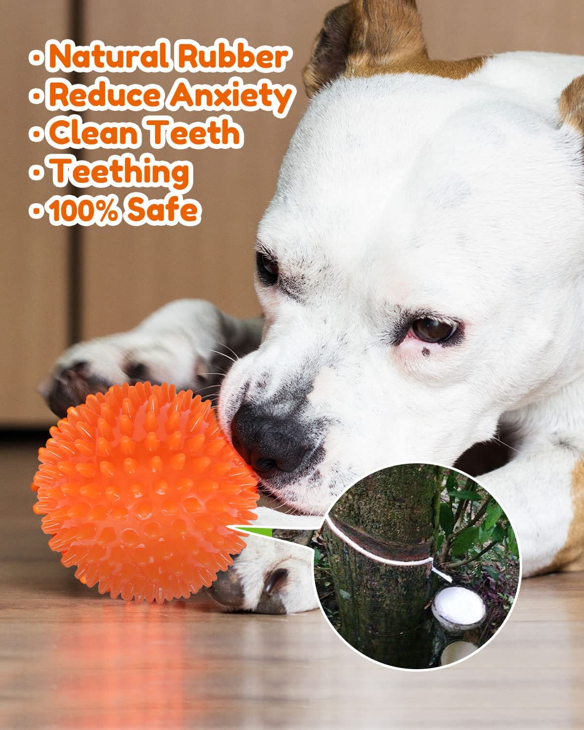 Exponential Pet Supplies - 4.5” Heavy Duty Squeaky Dog Balls for Aggressive Chewers Dog