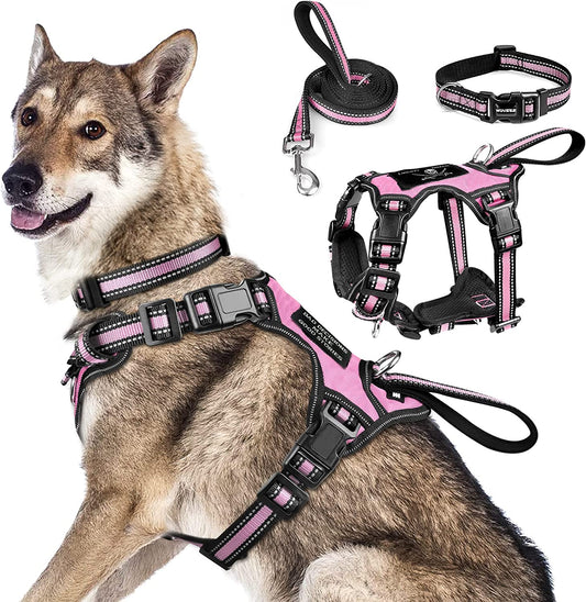 Exponential Pet Supplies - Pet Harness Collar and Leash Set, All-in-one Reflective Dog Harness No Pull with Adjustable Buckles for Puppies