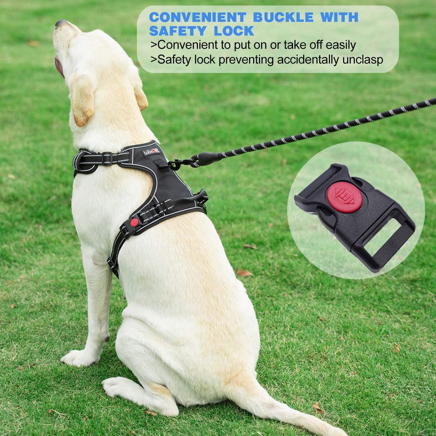 Exponential Pet Supplies - Free Heavy Duty 5ft Dog Leash No Pull Dog Harness Adjustable Reflective Oxford Easy Control Medium Large Dog Harness with A