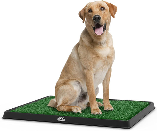 Exponential Pet Supplies - Artificial Grass Puppy Pad for Dogs Portable Training Pad with Tray