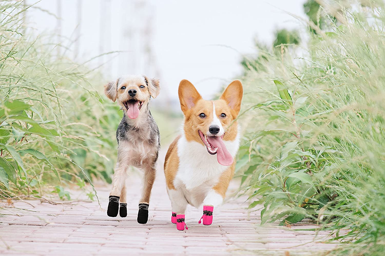 Exponential Pet Supplies - Dog Boots & Paw Protectors, Fleece Warm Snow Booties for Puppy with Reflective Strip Anti-Slip Rubber Sole