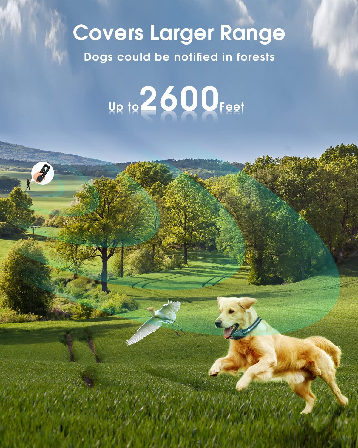 Exponential Pet Supplies - Dog Shock Collar Rechargeable Electric Shock Collar with Remote