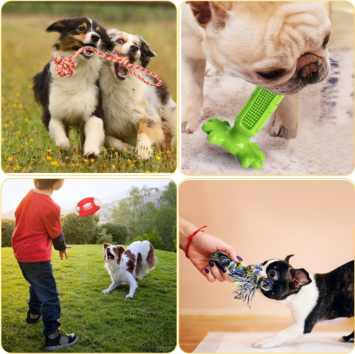 Exponential Pet Supplies - 20 Pack Puppies Teething Chew Toys for Boredom, Pet Dog Chew Toys with Rope Toys