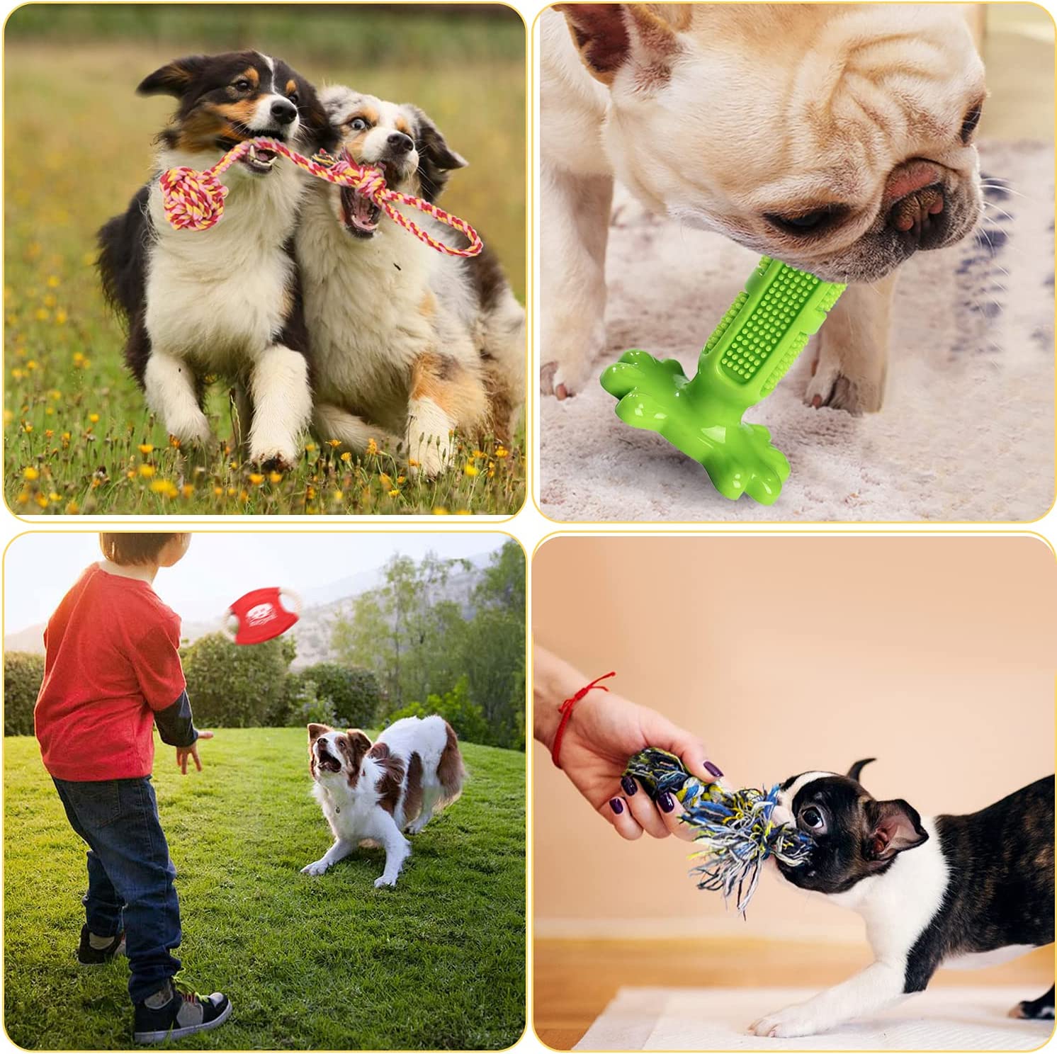 Exponential Pet Supplies - 20 Pack Puppies Teething Chew Toys for Boredom, Pet Dog Chew Toys with Rope Toys