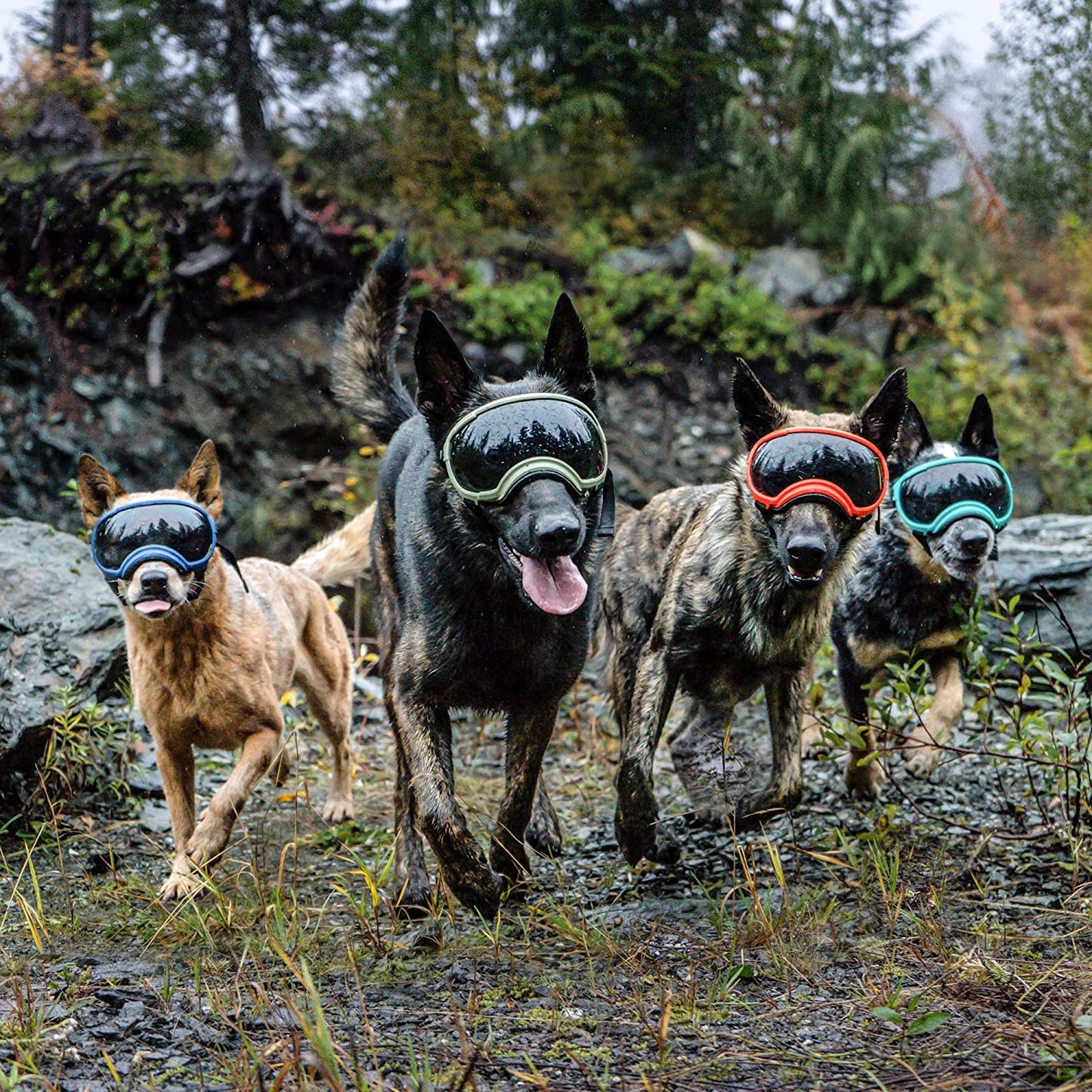 Exponential Pet Supplies - Breathable Dog Goggles