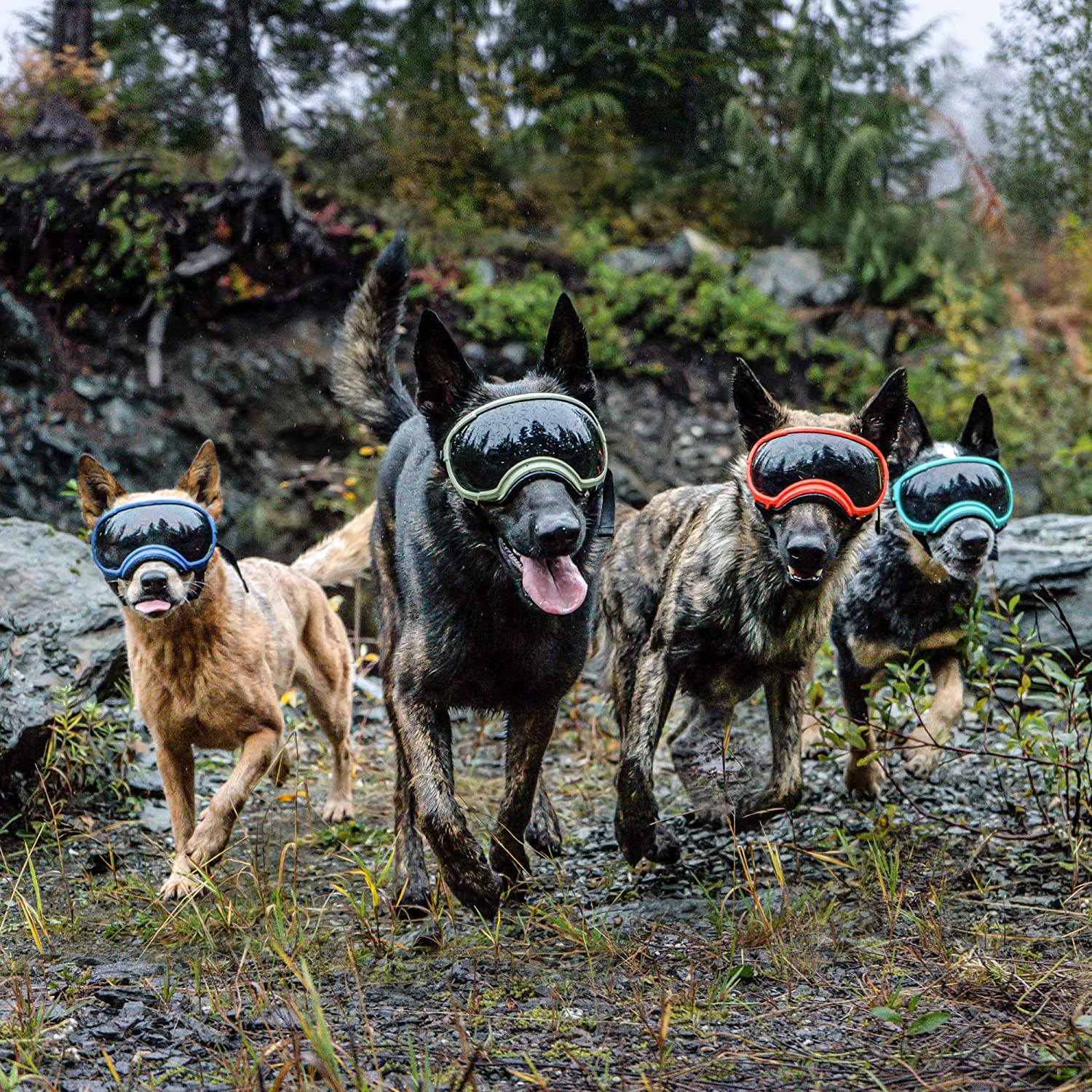 Exponential Pet Supplies - Breathable Dog Goggles